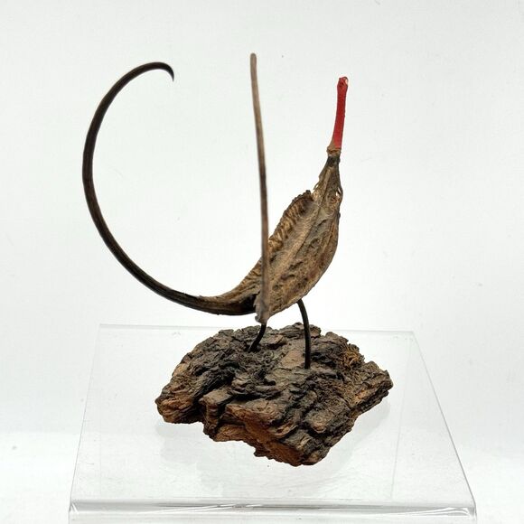 Vintage Devil's Claw Seed Pod Bird Sculpture Mounted on Driftwood Bark - Picture 10 of 13